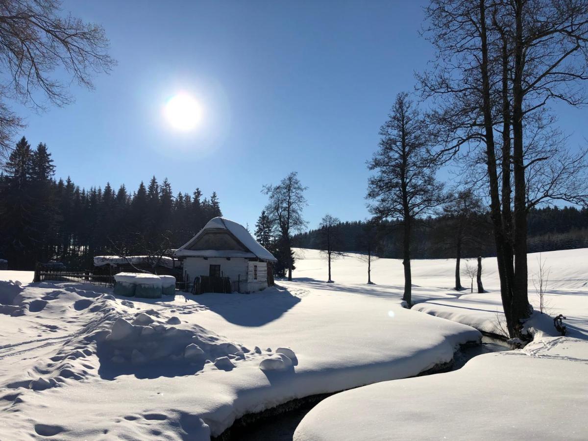 Hotel A Penzion Pegas Vlachovice Eksteriør bilde